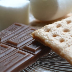 Campfire S&#39;more Soap Set - Smores - Dessert - Fake Food - Food Props - Camping - Summer - Chocolate
