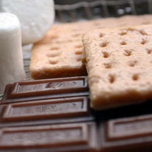 Campfire S'more Soap Set Smores Dessert Fake Food Food Props Camping Summer Chocolate image 4