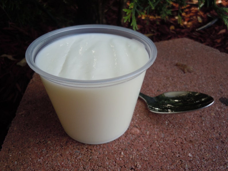 Fake Pudding Pudding Soap - Vanilla Pudding Snack Cup Soap - Dessert - Fake Food ...