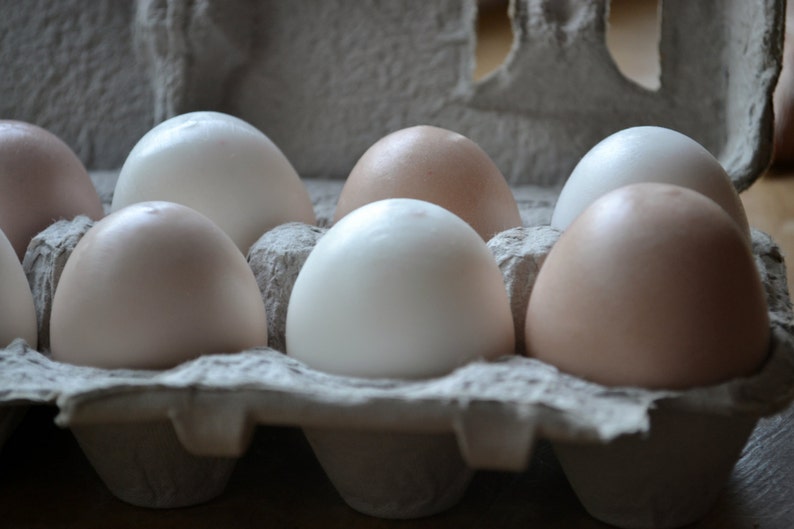 Farm Fresh Egg Soap Brown and White Eggs Half Dozen in Carton Gift Set image 3