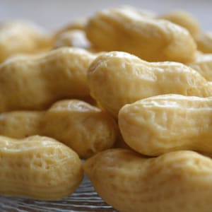 Pode incluir: Um close-up de um monte de amendoins torrados. Os amendoins s&atilde;o de cor castanho claro e t&ecirc;m uma superf&iacute;cie lisa e brilhante.