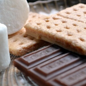 Campfire S'more Soap Set Smores Dessert Fake Food Food Props Camping Summer Chocolate image 3