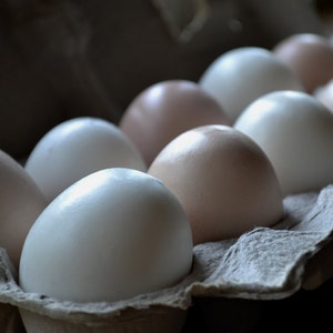 Farm Fresh Egg Soap Brown and White Eggs Half Dozen in Carton Gift Set image 4