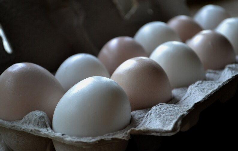 Farm Fresh Egg Soap Brown and White Eggs Half Dozen in Carton Gift Set image 4