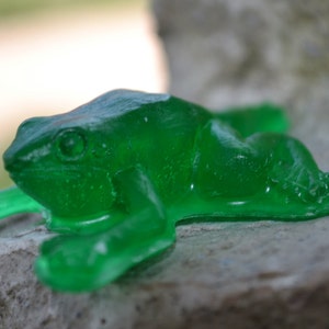 Frog Soap - Fun Frogs Kids Soap - Soap for Children