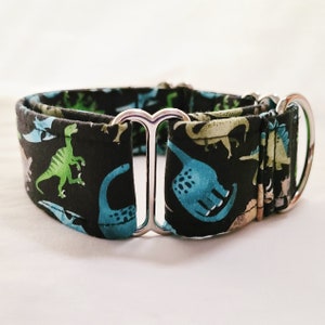 Martingale Dog Collar-1 inch, 1.5 inch, 2 inch- Dinosaurs