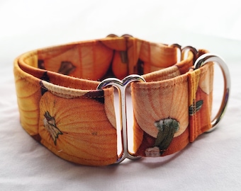 Pumpkin Martingale Collar-1.5 inch 2 inch- Harvest Dog Collar