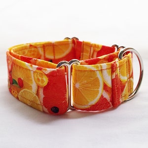 Martingale Dog Collar, 1 inch, 1.5 inch, 2 inch, Orange Citrus