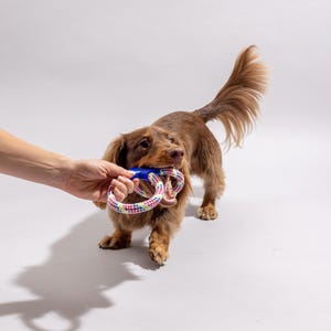 NEW! 14 pack Dog Toys Value Bundle Pack (Blue and Pink Pack options)