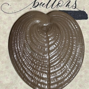 Victorian Carved Vegetable Ivory Shell Button