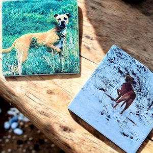 Personalized Pet Coaster | Custom Coasters | Customized Coasters | Photo Coasters | Custom Pet Gift | Personalized Gift | Ceramic Coasters