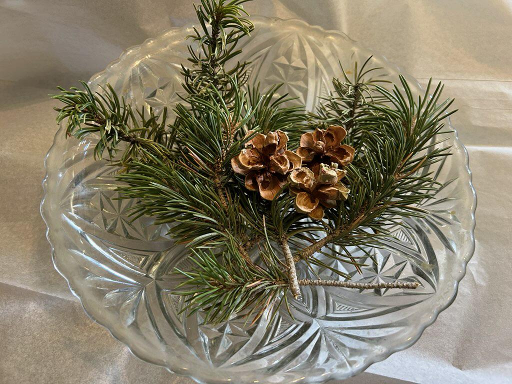 New Mexico Piñon Pine Cones: Natural Centerpiece, Craft Supply