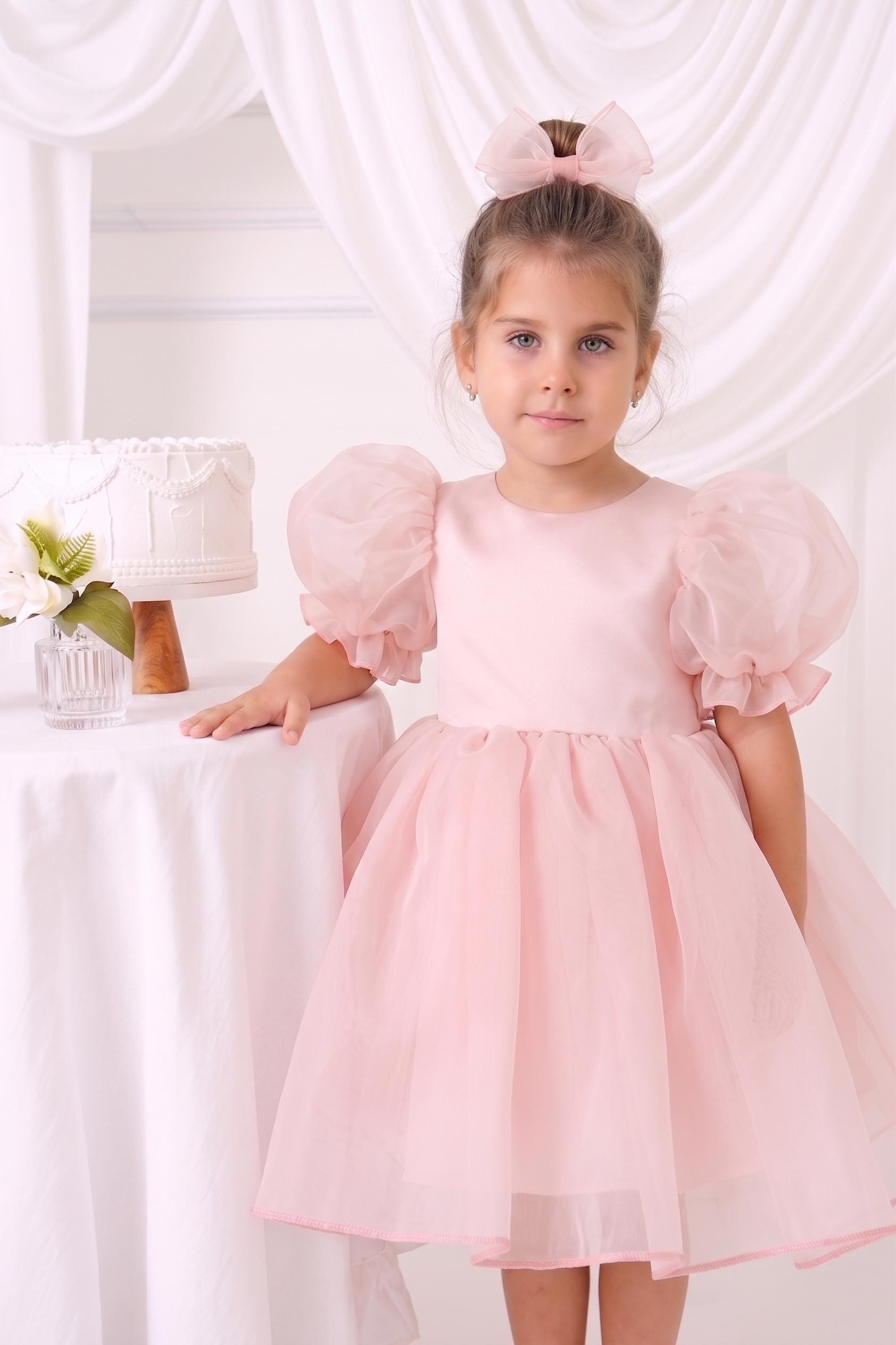 organza tutu dress Blush Flower Girl Organza Dress, Balloon Sleeve Short Tutu, Toddler Photo  Shooting, Wedding Junior Bridesmaid, First Birthday Photoshoot