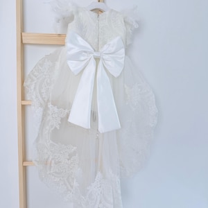 May include: A white tulle dress with lace detailing and a large white satin bow at the back.