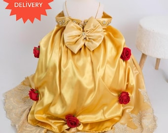 Gold Belle Princess Dress, Toddler Rose Costume, Birthday Pageant Outfit