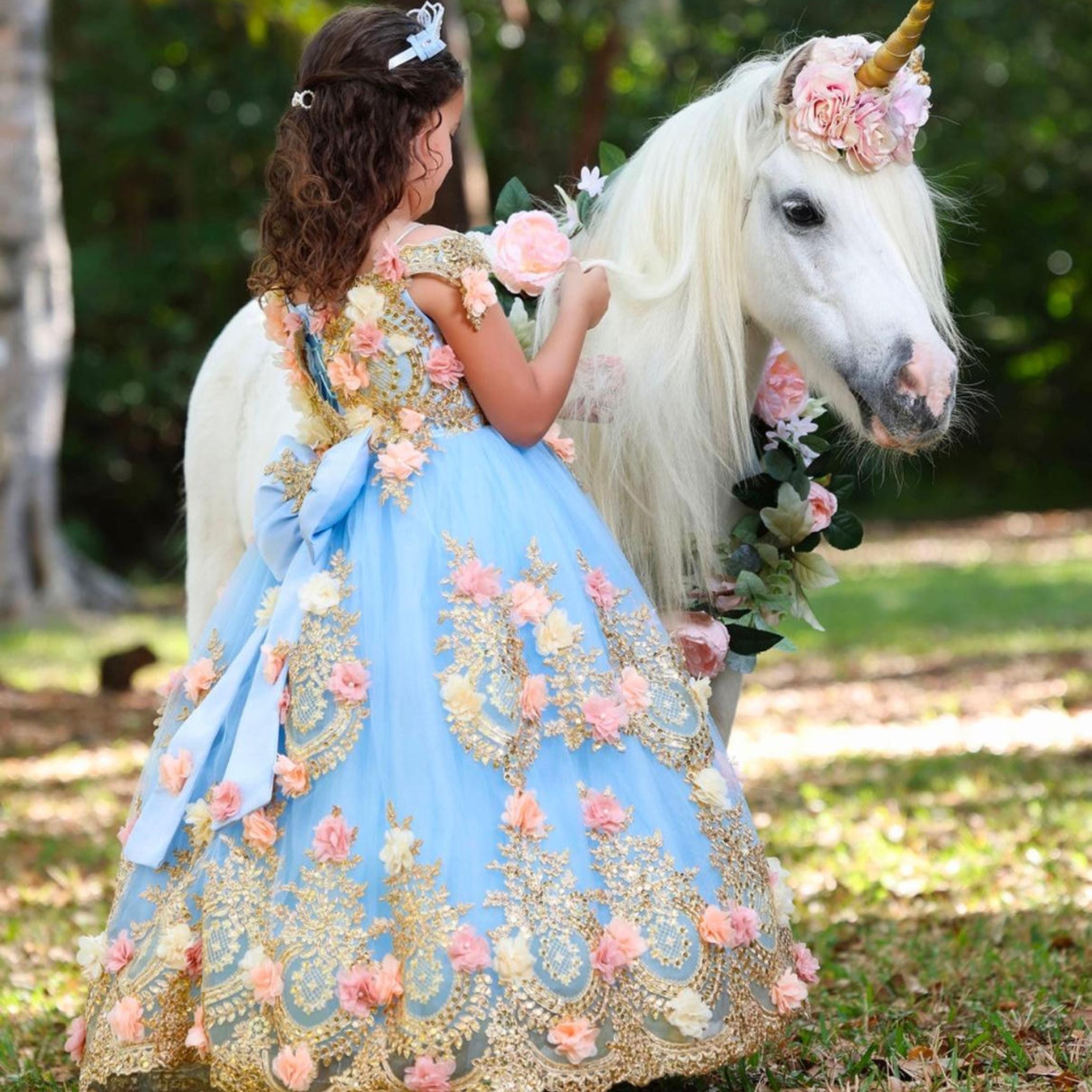 Sky blue and gold quinceanera gown for toddler, lace quince dress, mini sis quince gown, flower girl dress, princess gown baby girl sky blue