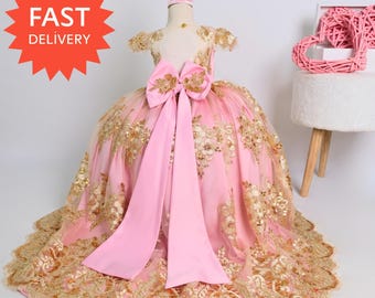 Pink Tulle Princess Ball Gown, Girls Birthday Dress, Long Tail Flower Girl, Matching Mini Quinceanera Sister Dress, Toddler Pageant Outfit
