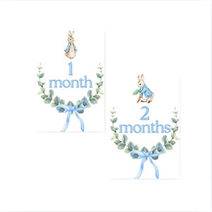 Cartes bébé jalon imprimables Peter Rabbit 5 x 7