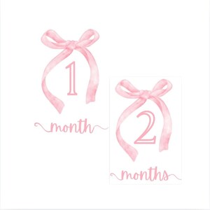 Cartes bébé rose jalon