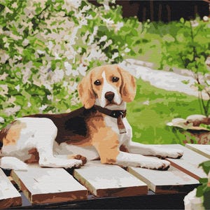 Malen nach Zahlen für Hunde, Welpen-Set für Erwachsene, Tiere, DIY-Malset, Malen auf Leinwand, DIY-Malset mit Rahmen