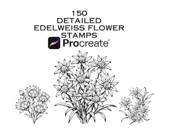 150 Edelweiss Flower Procreate-stempels - botanische penseelset voor digitale kunst