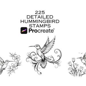 Hummingbird PNG & Cut Files Bundle | 225 PNG and  DXF Designs for Cricut and Laser Engraving
