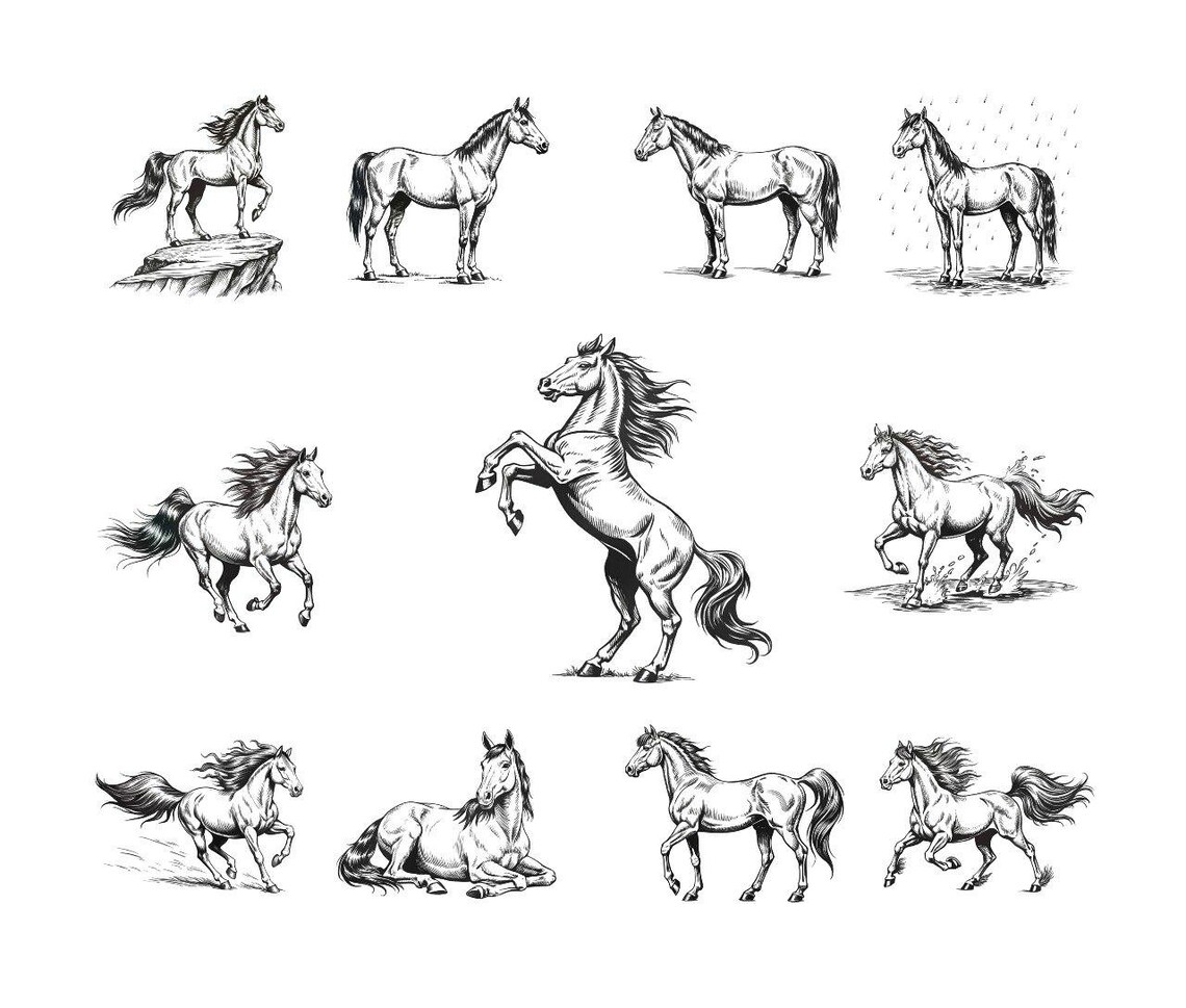 150 Horse Procreate Stamps – Horse Stamp Set for Digital Drawing & Art ...