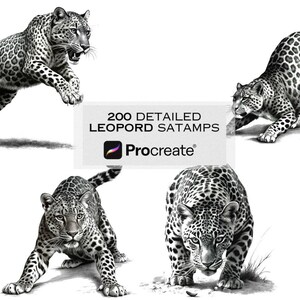 May include: Four black and white illustrations of leopards in different poses. The illustrations are detailed and realistic, with a focus on the animal's fur and markings. The text "200 DETAILED LEOPORD STAMPS Procreate" is visible in the center of the image.