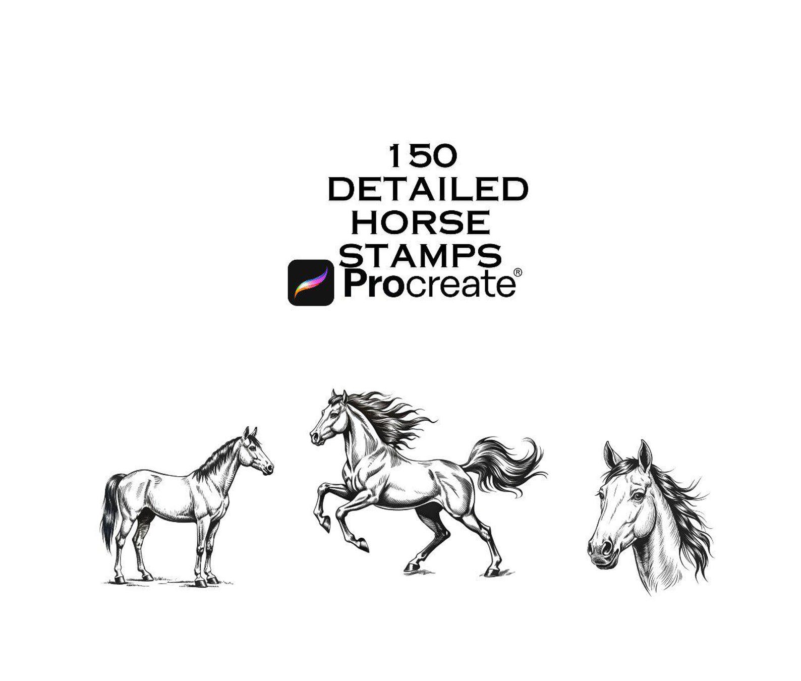 150 Horse Procreate Stamps – Horse Stamp Set for Digital Drawing & Art ...