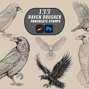 133 Procreate Raven Stamp Brushes | Gothic Crow Brush Set | Dark Nature-Inspired Procreate Brush | Raven Tattoo Art | Procreate Raven Clipar