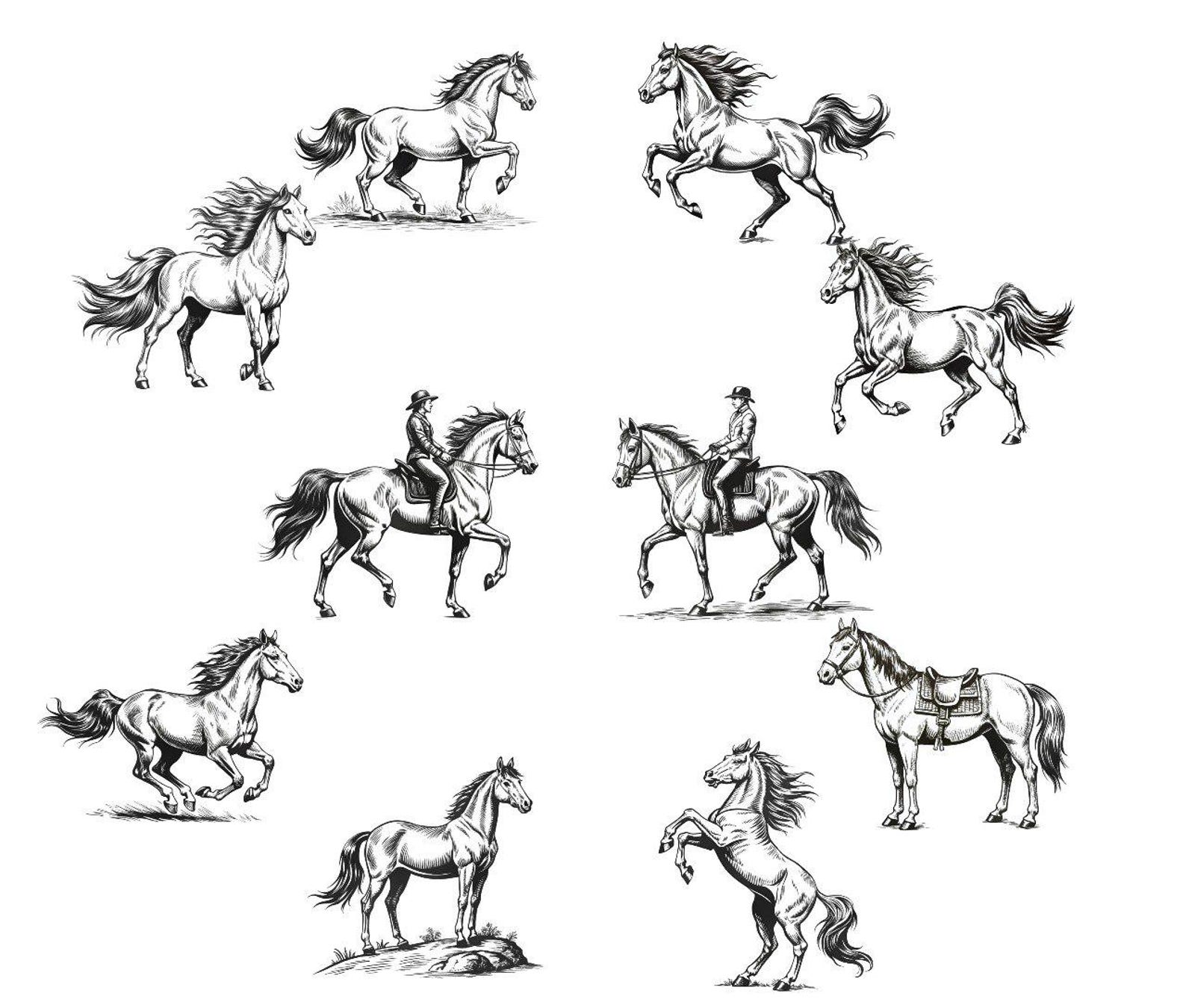 150 Horse Procreate Stamps – Horse Stamp Set for Digital Drawing & Art ...