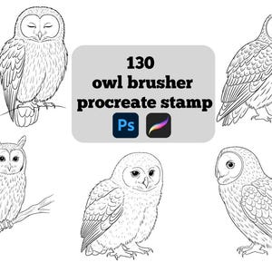 130 Owl Stamp Brushes for Procreate | Mystical Bird Digital Brush Set | Instant Download