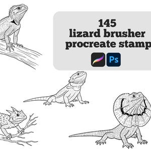 Può includere: Illustrazioni in bianco e nero di varie lucertole, tra cui una lucertola dal collare, un drago barbuto e un'iguana. L'immagine include il testo "145 lizard brusher procreate stamp" con i loghi Procreate e Photoshop.