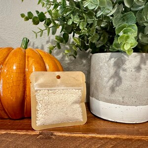 May include: A small, clear plastic bag filled with white, granular material. The bag is made of brown paper and has a hole in the top for hanging. The bag is sitting on a wooden surface next to a pumpkin and a gray planter with a green plant.