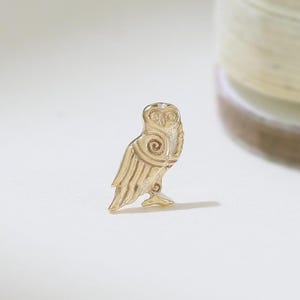14K Solid Gold Owl Flat Back Earring Animal Motif Pattern Cartilage Piercing Vivid Owl Helix Earlobe Conch Tragus Stud Threadless Push Pin