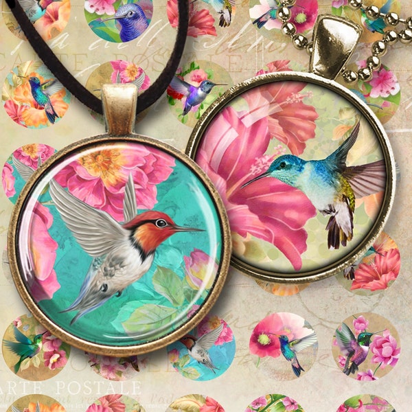 Imprimable 1 + 1.2 + 1.5 pouces (25, 30, 38 mm) Cercles HUMMINGBIRDS Digital Collage Sheet pour pendentifs, cabochons, bouchons de bouteilles, plateaux de lunettes