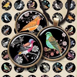 Printable 1 inch (25mm) size circle Images DECO BIRDS Collage Sheet Digital download for pendants magnets bezel settings bottle caps ArtCult