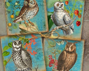 Vintage Owls Coasters Print, Sublimeringskonst (Digital Nedladdning)