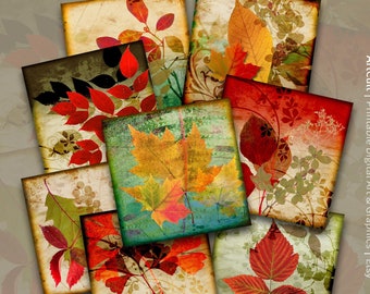 4x4 inch Printable Coasters PNG + JPG Digital Download for Sublimation, Decor, Magnets, Greeting Cards - AUTUMN Foliage - ArtCult Designs