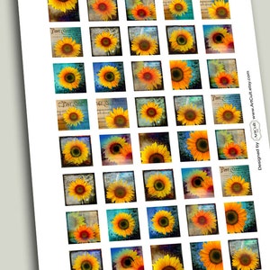 1x1 inch 25x25 mm and 7/8x7/8 inch images SUNFLOWERS Digital Collage Sheet Printable downloads for square pendants bezel trays and magnets image 2