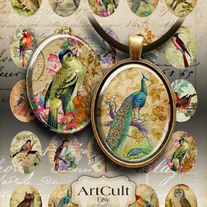 Printable Download ANTIQUE BIRD OVALS 30x40 mm Images Digital Collage Sheet for pendants magnets bezel settings vintage Art Cult images