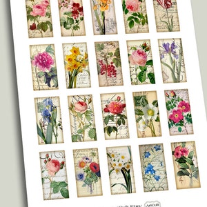 1x2 inch images BOTANICAL DOMINOES Printable Digital Collage Sheet for glass and resin pendants magnets scrapbooking paper ArtCult graphics image 2