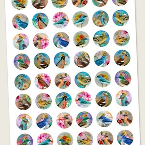 1 inch 25mm size circle images CROWNED BIRDS Digital Collage Sheet Printable Download for pendants, magnets, bottle caps, bezel settings image 2