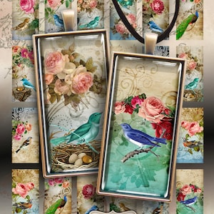 Printable download ROSES AND BIRDS 1x2 inch domino size Images Digital Collage Sheet for Pendants Magnets bezel settings scrapbooking