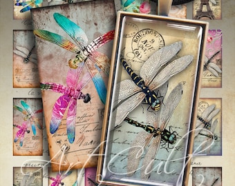 Printable images DRAGONFLY DOMINOES 1x2 inch Digital Collage Sheet Art Cult Downloads for pendants magnets bezel cabs paper decoupage