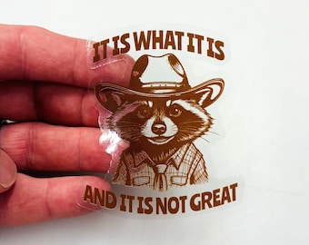 It Is What It Is And It Is Not Great Trash Panda Raccoon | Premium Die Cut Sticker | Premium Vinyl Waterproof Sticker + Fast Shipping!