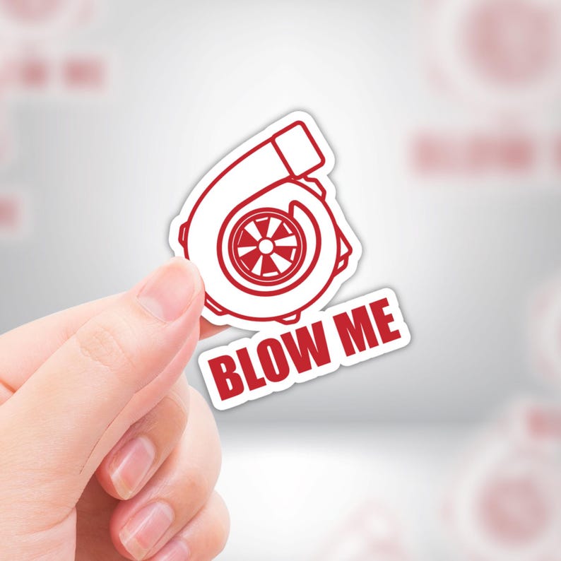 Funny Adult R-rated Humor Sticker Pack - 6 Waterproof Vinyl Stickers ...