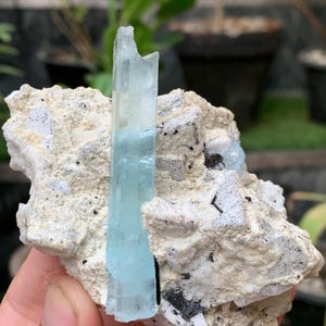 Aquamarine & Black Tourmaline on Mother Rock - Afghanistan Crystal (181 grams