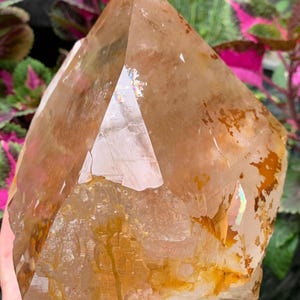 Well Terminated Golden Healer  Hashupi Quartz  Crystal Specimen from Pakistan / 3.670 kg