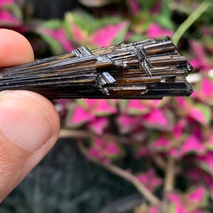 Natural Dravite Tourmaline Crystal | Raw Brown Tourmaline Mineral Specimen / 11 Grams